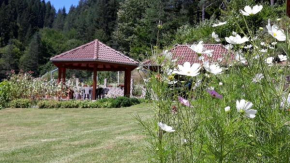 Гостиница Villa Chaushevi  Плетена